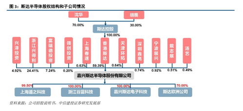 斯達(dá)半導(dǎo) IGBT模塊國內(nèi)領(lǐng)先廠商，有望受益于國產(chǎn)替代與行業(yè)增長